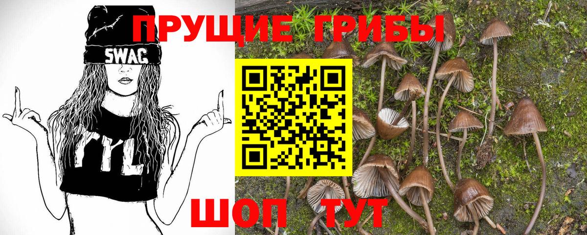 Подольск  Псилоцибиновые грибы прущие грибы  Галлюциногенные грибы Magic Shrooms  Вход с VPN 